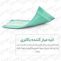 پانسمان جاذب آنتی باکتریال سوربکت